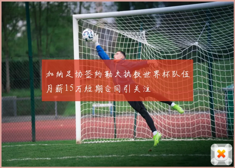 加纳足协签约勒夫执教世界杯队伍月薪15万短期合同引关注